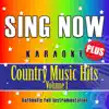 Sing Now Karaoke ‘Plus’ – Country Music Hits – Volume 1 (Performance Backing Tracks + Demonstration Tracks) album lyrics, reviews, download