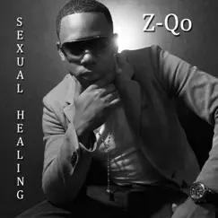 Sexual Healing (Summer 2012 Edit) Song Lyrics