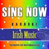 Sing Now Karaoke – Irish Music (Performance Backing Tracks) album lyrics, reviews, download