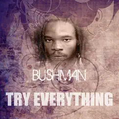 Try Everything - Single by Bushman album reviews, ratings, credits