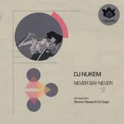 Never Say Never - Single by DJ Nukem album reviews, ratings, credits