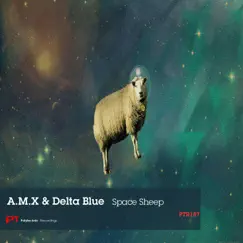 Space Sheep (Sha Dow Remix) Song Lyrics