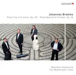Brahms: Piano Trio in C minor, Op. 101 - Piano Quartet in G minor, Op. 25 by Munich Piano Trio & Tilo Widenmeyer album reviews, ratings, credits