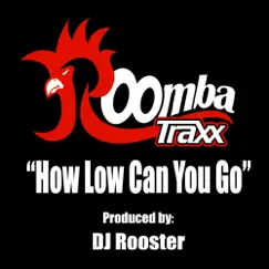 How Low Can You Go - Single by Dj_Rooster album reviews, ratings, credits