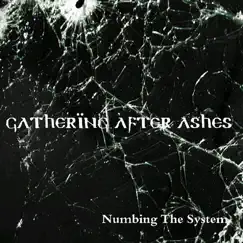 Numbing the System - EP by Gathering After Ashes album reviews, ratings, credits
