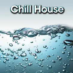 Chill House by Various Artists album reviews, ratings, credits