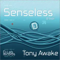 Senseless (DJ Smiler Remix) Song Lyrics