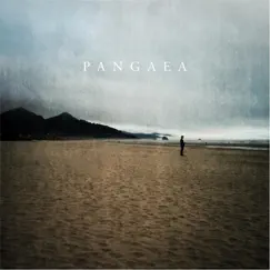 Pangaea by Andrew Branch album reviews, ratings, credits