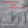 Open Spaces and Dark Places - EP album lyrics, reviews, download