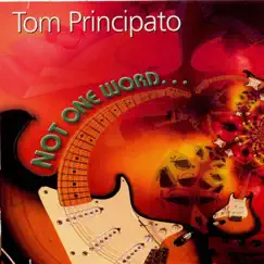 Not One Word by Tom Principato album reviews, ratings, credits