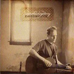 Into the Mystery by David Wilcox album reviews, ratings, credits