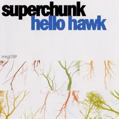 Hello Hawk Song Lyrics