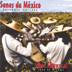 ¡Que Florezca! (Let It Bloom) by Sones de Mexico Ensemble album reviews, ratings, credits