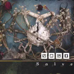 Salve by Yogi album reviews, ratings, credits