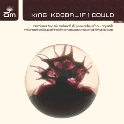 If I Could by King Kooba album reviews, ratings, credits