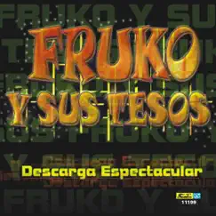 Mega Mosaico de Fruko (Frukomania): El Preso - El Caminante - Tania - El Ausente Song Lyrics