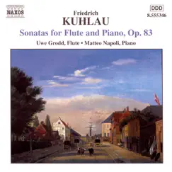 Sonata for Flute and Piano in G Major, Op. 83, No. 1: I. Allegro Con Fuoco Song Lyrics