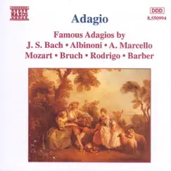 Adagio from Oboe Concerto in D Minor, Op. 9, No. 2: Adagio Song Lyrics