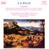 Bach: Coffee Cantata, Peasant Cantata album lyrics, reviews, download