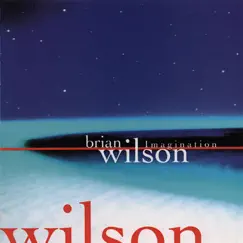 Imagination by Brian Wilson album reviews, ratings, credits