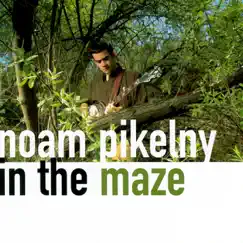 In the Maze by Noam Pikelny album reviews, ratings, credits