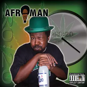 Download Smoke a Blunt Afroman MP3