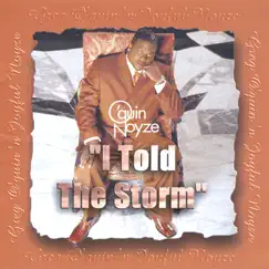 I Told the Storm Song Lyrics