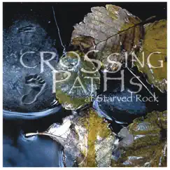 Crossing Paths Song Lyrics