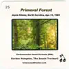 Primeval Forest album lyrics, reviews, download