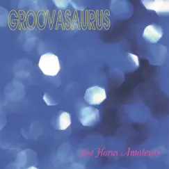 Hot Horny Amateurs by Groovasaurus album reviews, ratings, credits