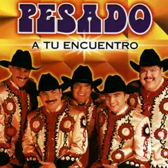 A Tu Encuentro by Pesado album reviews, ratings, credits