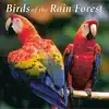 Birds of the Rain Forest album lyrics, reviews, download