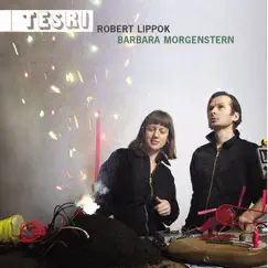 Tesri by Barbara Morgenstern & Robert Lippok album reviews, ratings, credits