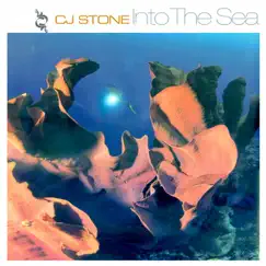 Into the Sea (Original Mix) Song Lyrics