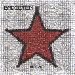 Mosaic by Badgemen album reviews, ratings, credits