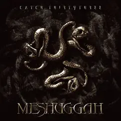 Catch Thirty Three by Meshuggah album reviews, ratings, credits