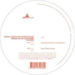 Once In a Lifetime (Remixes) - Single by Bionik Phunk & Sugar Caine album reviews, ratings, credits