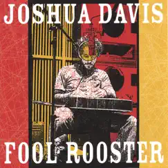 Fool Rooster by Joshua Davis album reviews, ratings, credits