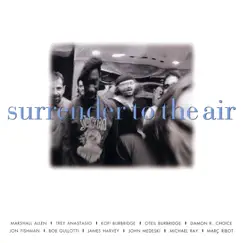 Surrender to the Air by Surrender to the Air album reviews, ratings, credits