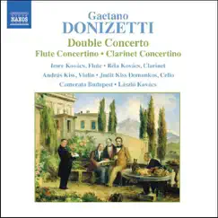 Concertino in B flat major for clarinet and orchestra: I. Andante sostenuto Song Lyrics