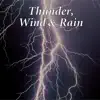 Thunder, Wind & Rain album lyrics, reviews, download
