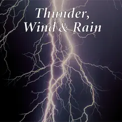 Rain Forest Thunderstorm Song Lyrics