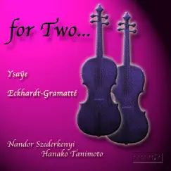 Sonata For Two Violins: II. Allegretto Poco Lento (Arranged for Two Guitars) Song Lyrics