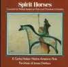 Spirit Horses album lyrics, reviews, download