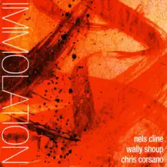 Immolation / Immersion by Chris Corsano, Nels Cline & Wally Shoup album reviews, ratings, credits