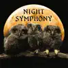 Night Symphony album lyrics, reviews, download