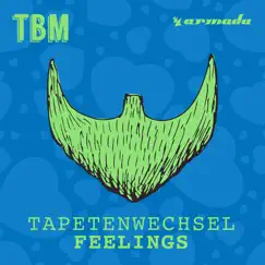 Feelings - Single by Tapetenwechsel album reviews, ratings, credits