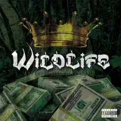 Wildlife by Wildlife album reviews, ratings, credits