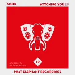 Watching You (Offshore and Coen Remix) Song Lyrics