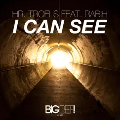 I Can See (feat. Rabih) [Radio Edit] Song Lyrics